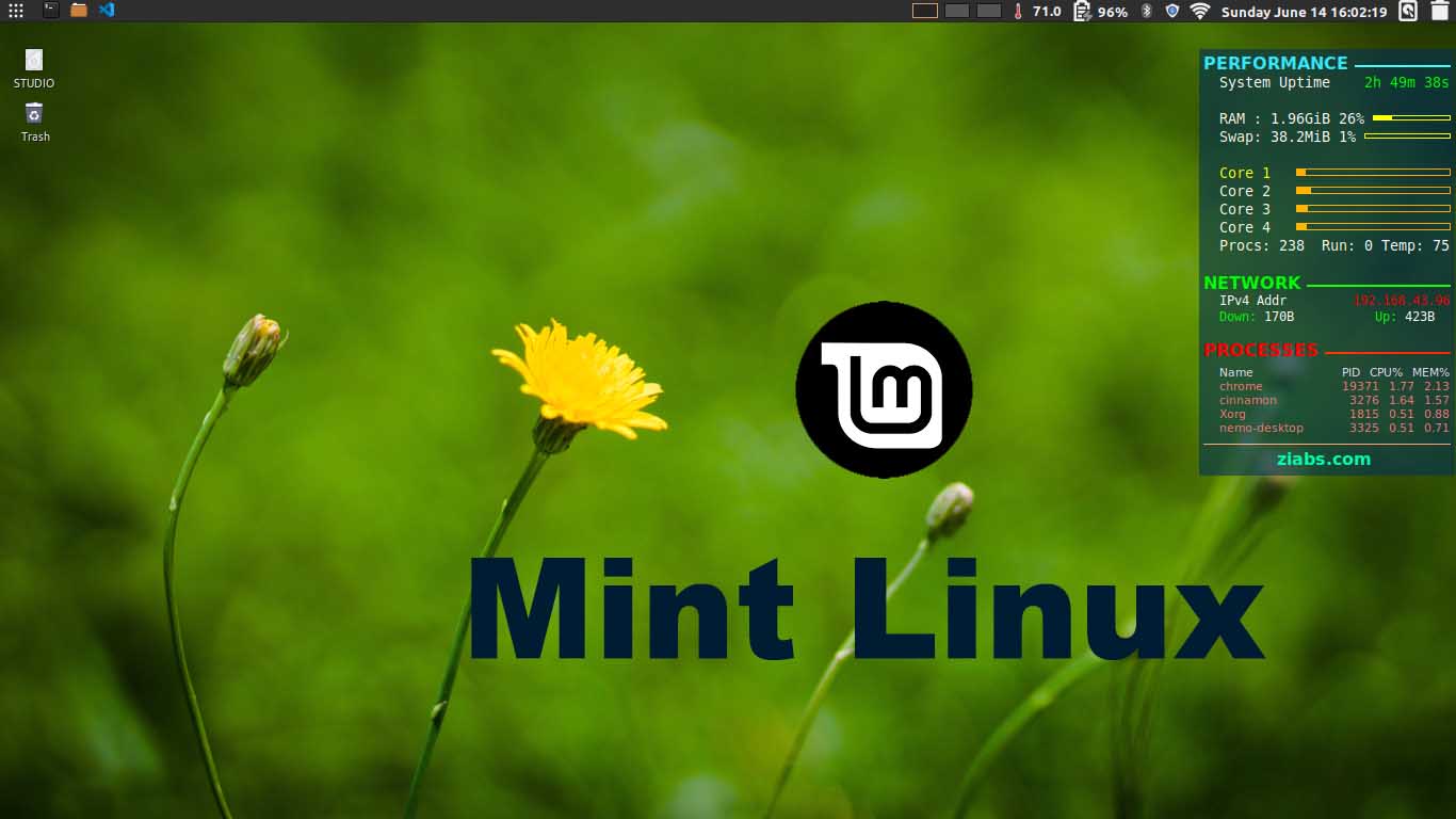 Минт видео. Linux Mint Cinnamon 20. Обои линукс минт. Linux Mint Uliana.